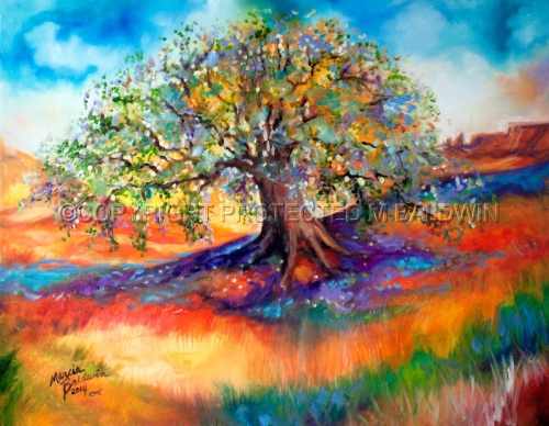 500x388 Painting Old Oak Tree Southwest 2014 (Original Art By Marcia - Oak Tree Painting