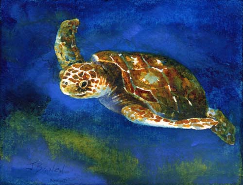 Ocean Animal Painting at PaintingValley.com | Explore collection of ...