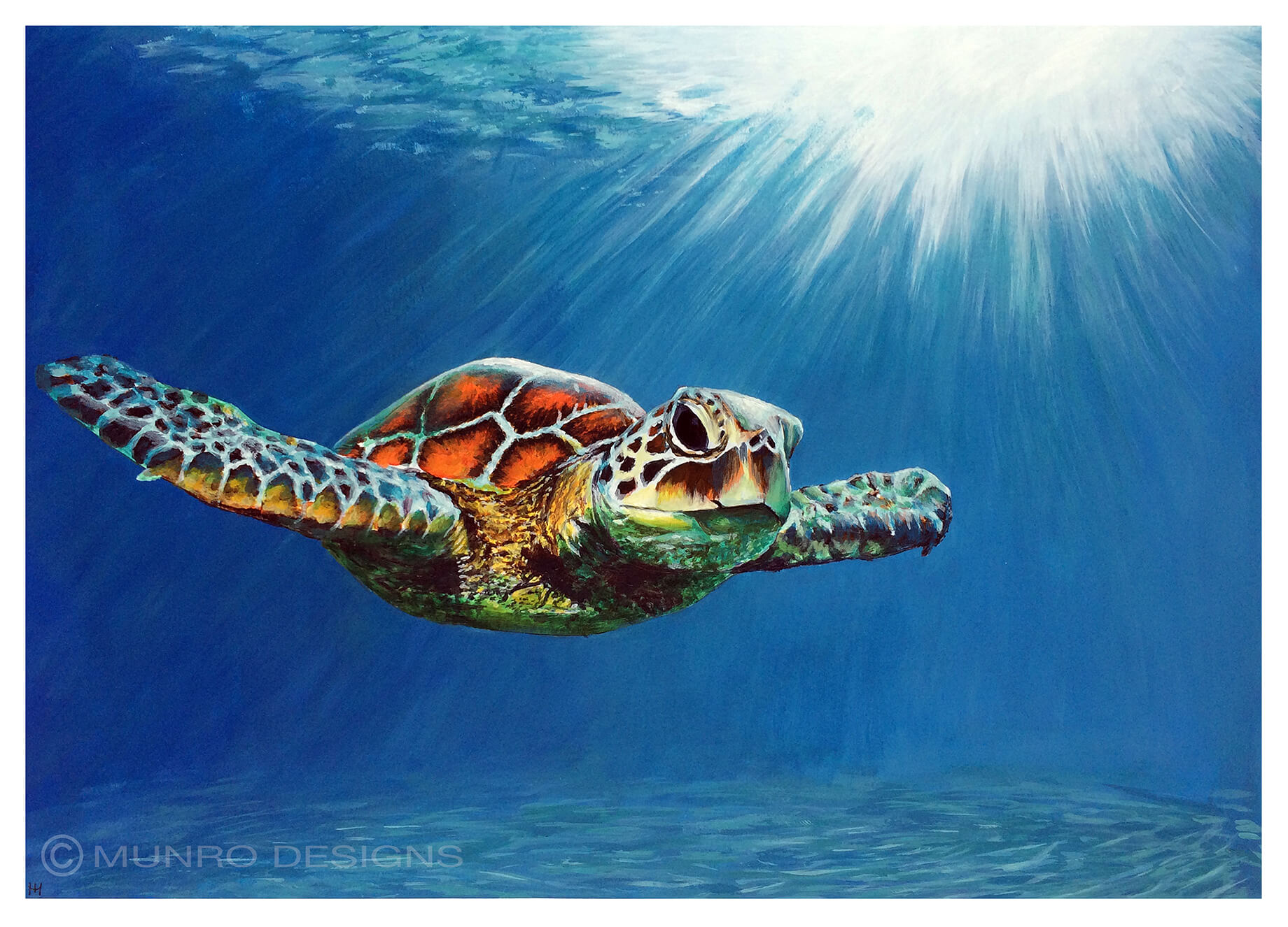 1840x1326 Turtle, Acrylic Animal Painting - Ocean Animal Painting
