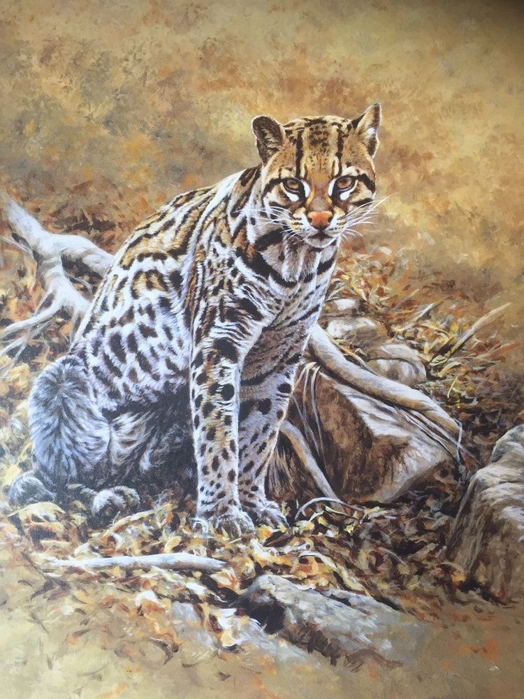 750x1000 Ocelot Painting By Alan M Hunt Original Painting Sold Big Cat - Ocelot Painting