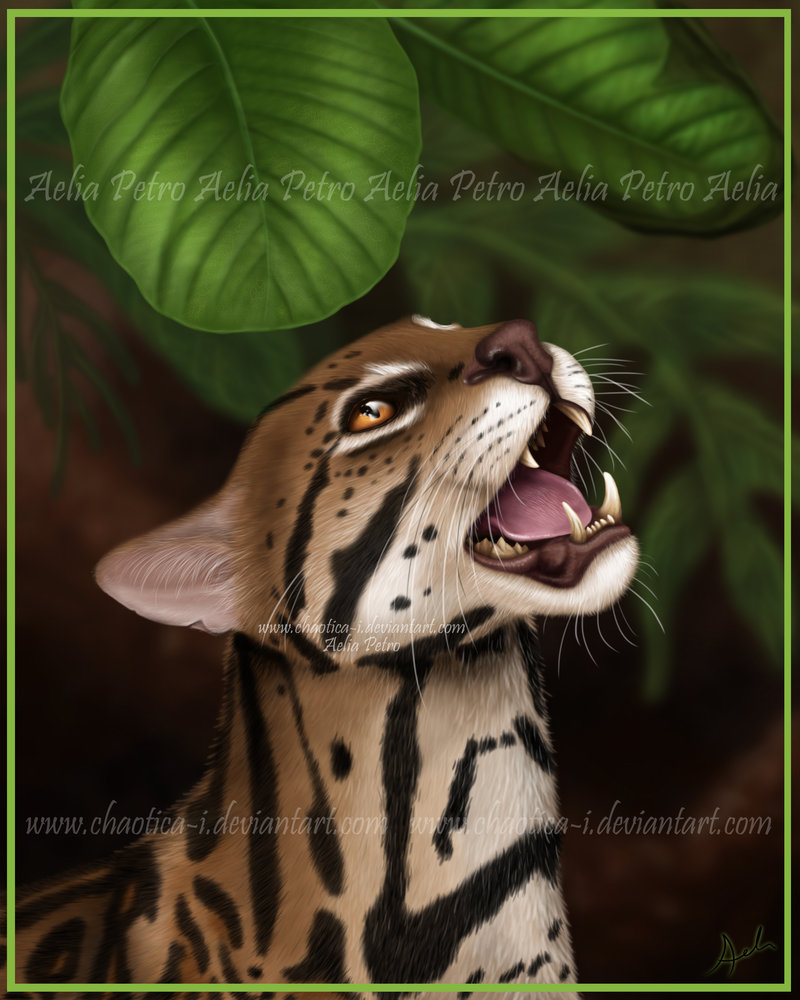 800x1000 Ocelot Painting By Chaotica I - Ocelot Painting