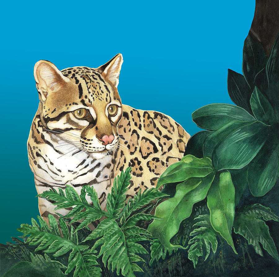 900x893 Ocelot Painting By Steven Stines - Ocelot Painting