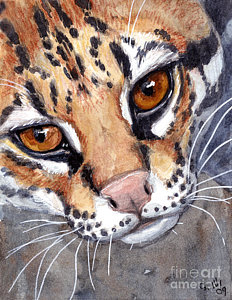232x300 Ocelot Paintings Fine Art America - Ocelot Painting