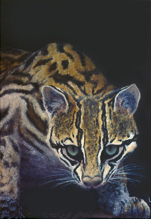 500x725 Ocelot - Ocelot Painting