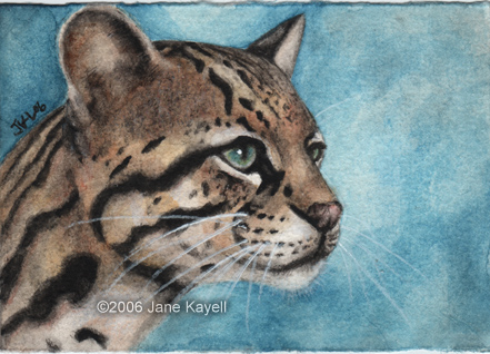 441x318 The Peaceful Ocelot By Katat0nik - Ocelot Painting