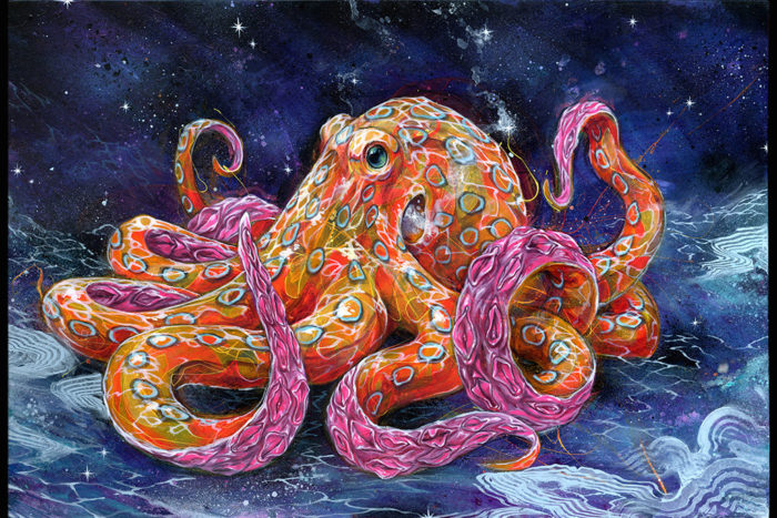 700x467 Octopus Oil Painting - Octopus Acrylic Painting