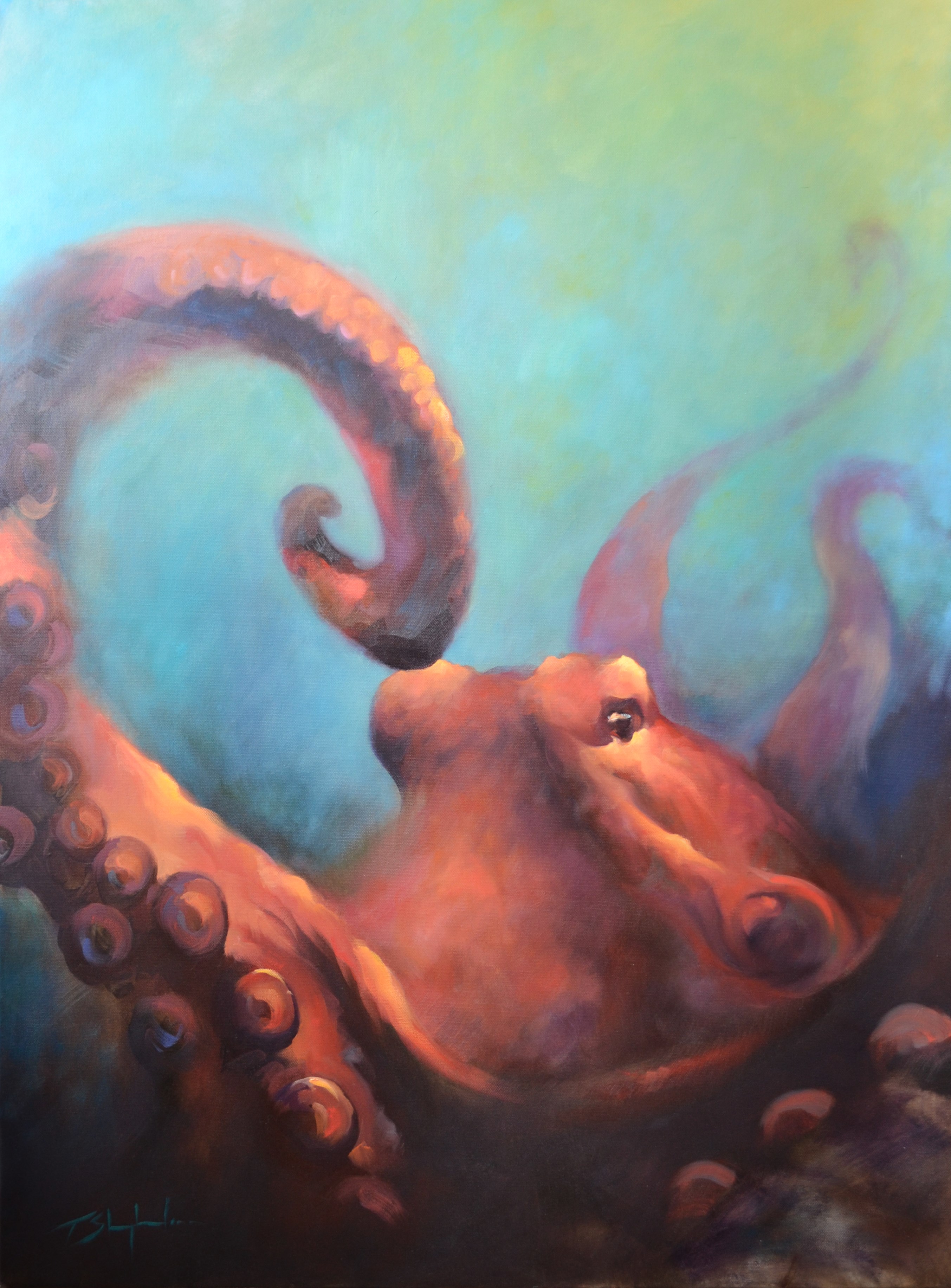 Octopus Oil Painting