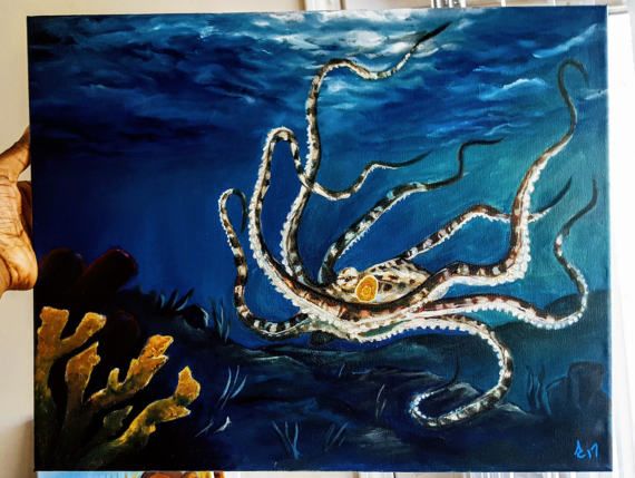 570x429 Mimic Octopus Oil Painting 16x20 Oil And Paintings - Octopus Oil Painting