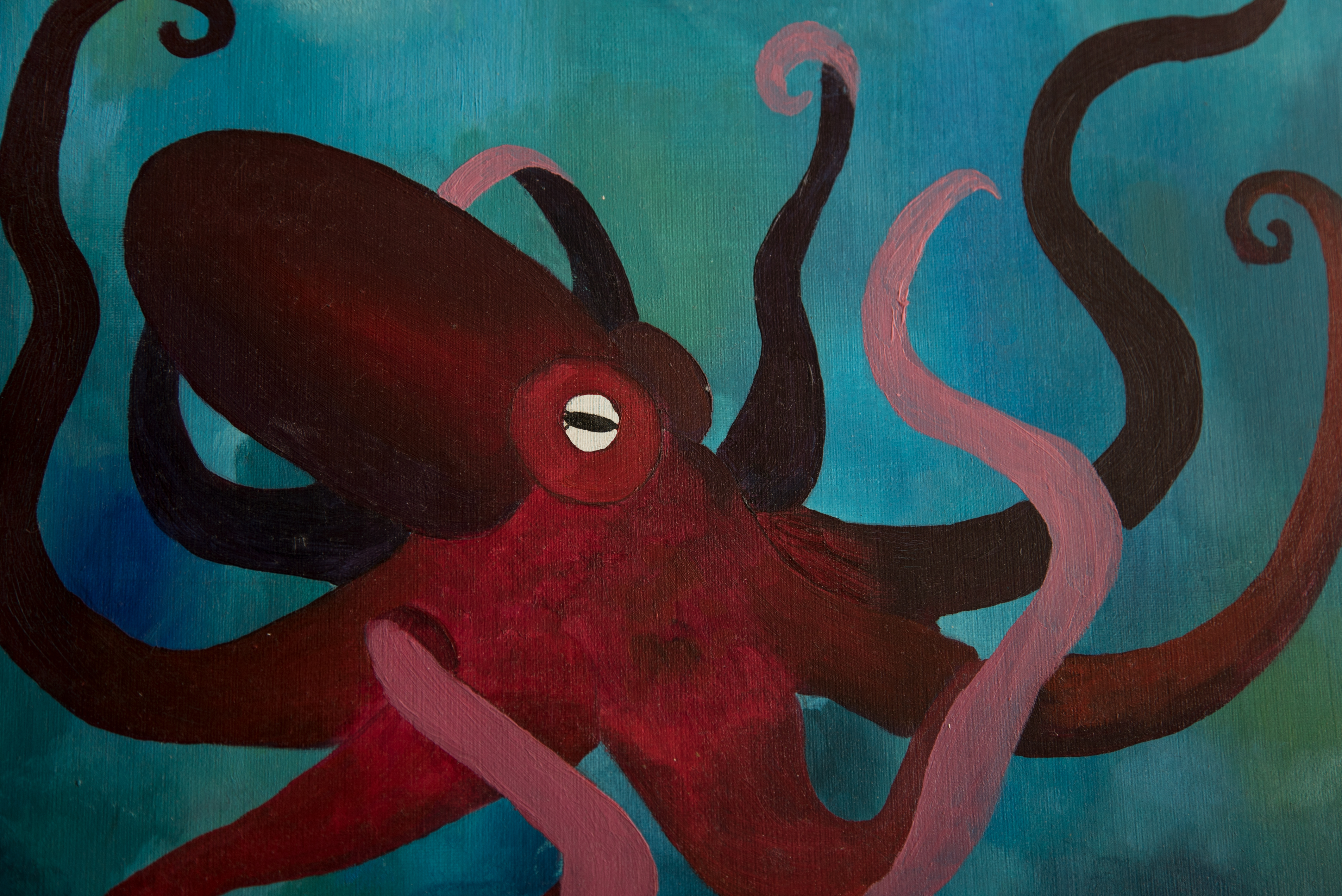 4240x2832 Nicole Erbio Graphic Design - Octopus Oil Painting