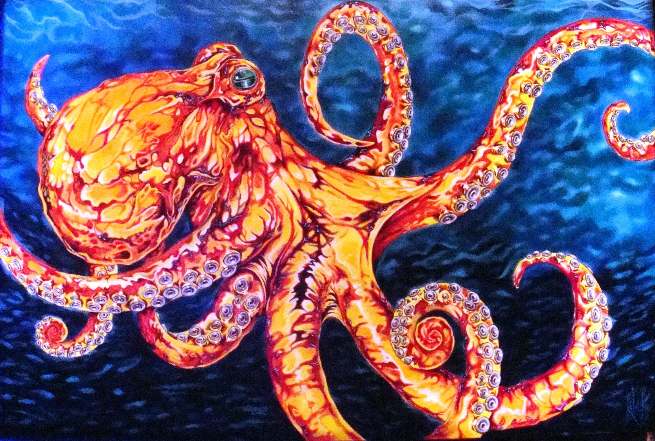 2264x1525 Octopus Painting Displaying 18gt Images - Octopus Oil Painting
