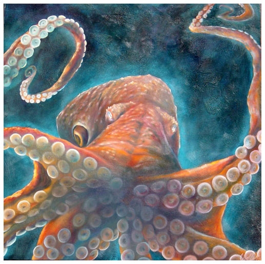 517x514 Cleo Vilett Paintings Marine Life Oils - Octopus Oil Painting