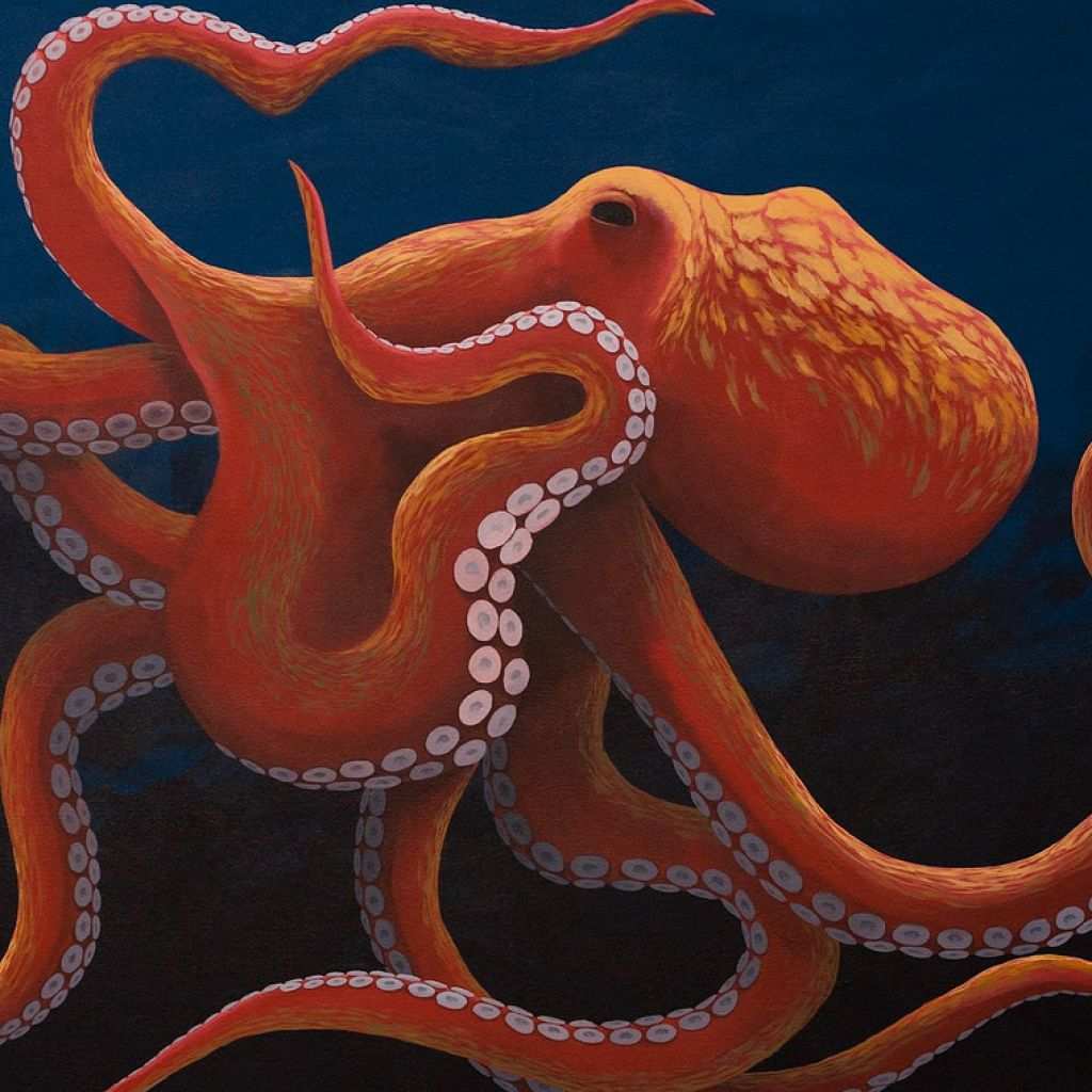 1024x1024 Octopus Painting On Canvas Elegant Polvo Curioso Painting Ideas - Octopus Painting On Canvas