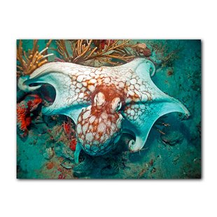 310x310 Octopus Wall Art You'Ll Love Wayfair - Octopus Painting On Canvas