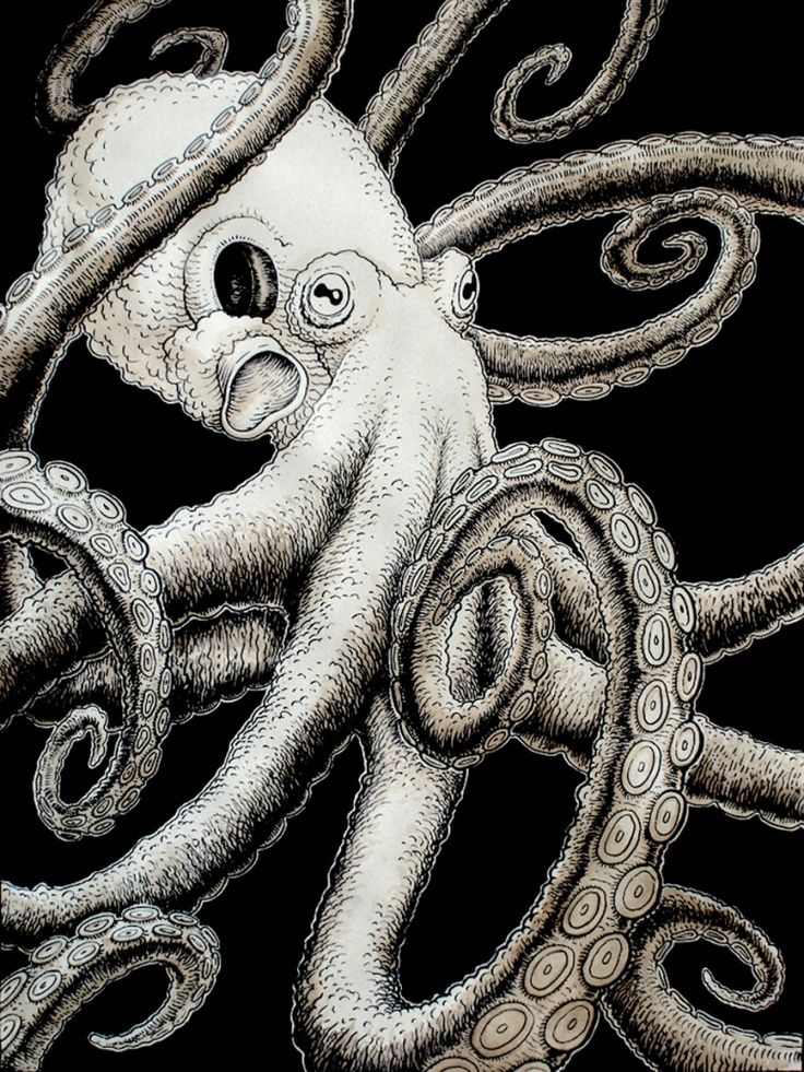 736x981 Pin By Jorge On Tentaculos Kraken, Artsy And Sketches - Octopus Tentacles Painting