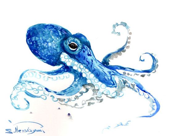 570x440 Octopus, Oriignal Watercolor Painting, Blue Octopus, Sea World Art - Octopus Watercolor Painting