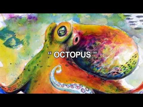 480x360 Octopus Watercolour Painting - Octopus Watercolor Painting