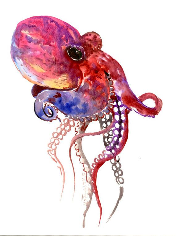 570x762 Octopus Rainbow Colors, Original Watercolor Painting, 12 X 9 - Octopus Watercolor Painting