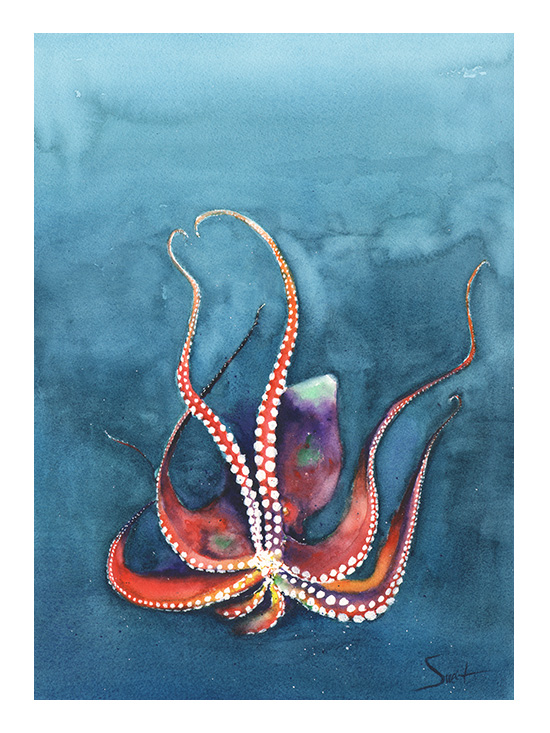 550x733 Octopus Watercolor Print Watercolor Animal Paintings - Octopus Watercolor Painting