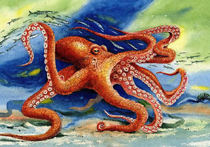 300x211 Octopus Watercolor Painting Picture 8x10 Best Beach Decor Art - Octopus Watercolor Painting
