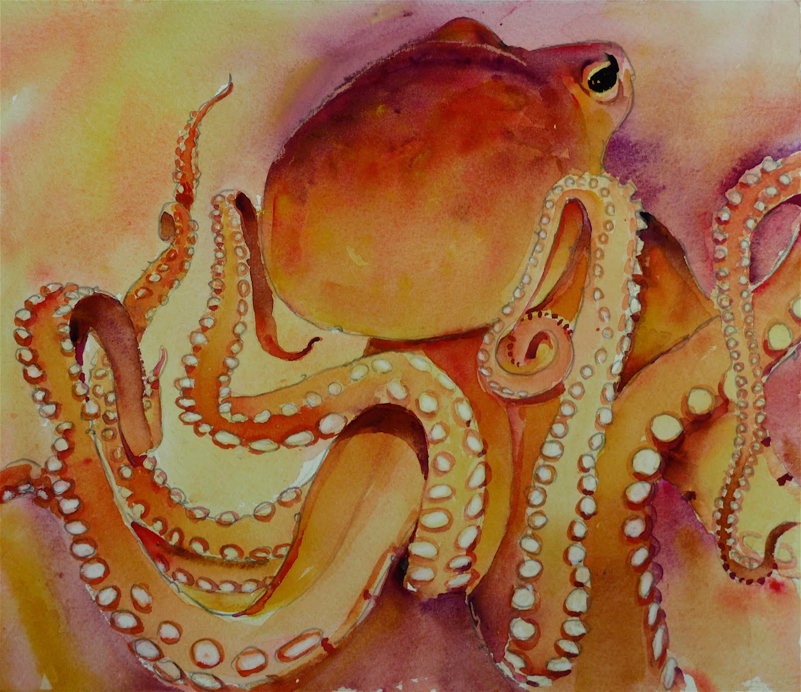 1600x1383 David Lobenberg Octopus - Octopus Watercolor Painting