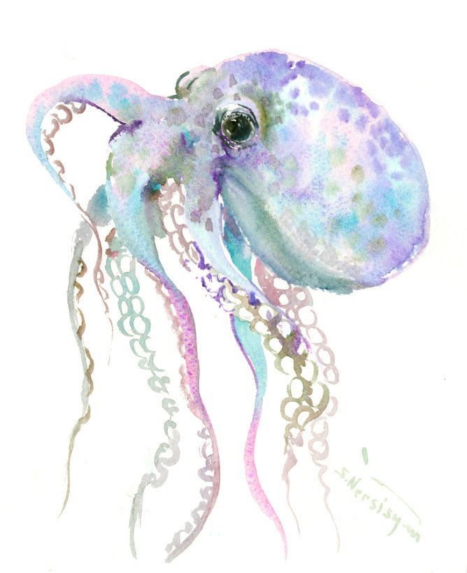 668x820 Gray Blue Purple Octopus Art, 10 X 8, Original Watercolor - Octopus Watercolor Painting