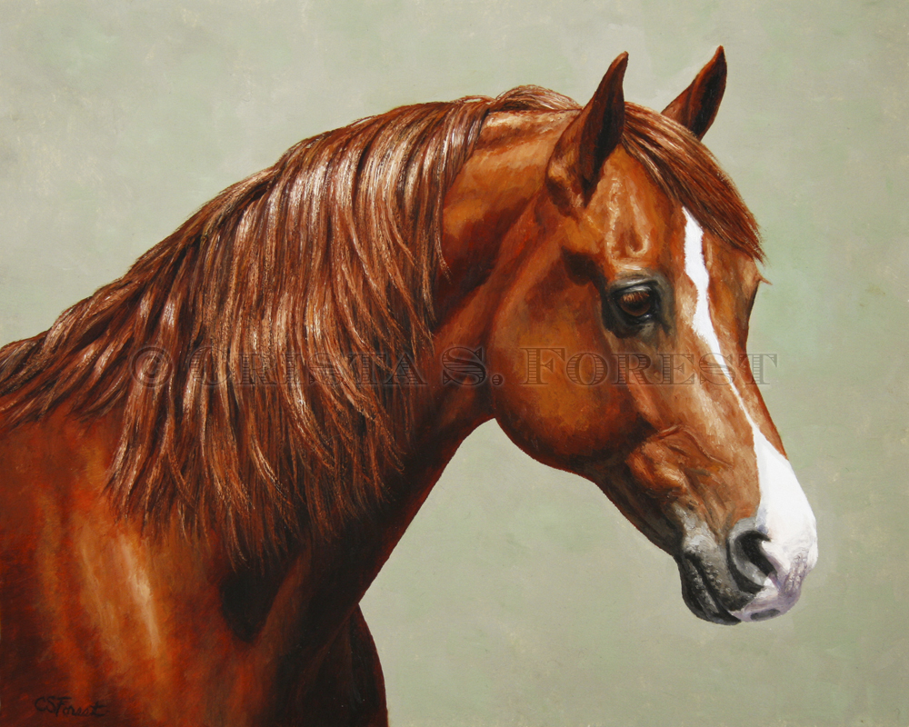 1000x800 Crista Forest Equine Art - Oil Horse Painting