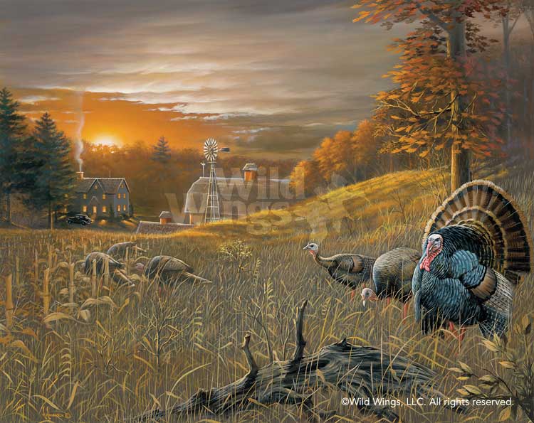 750x595 Breakfast Time Turkey Original Oil Painting Wild Wings - Oil Painting By Anderson