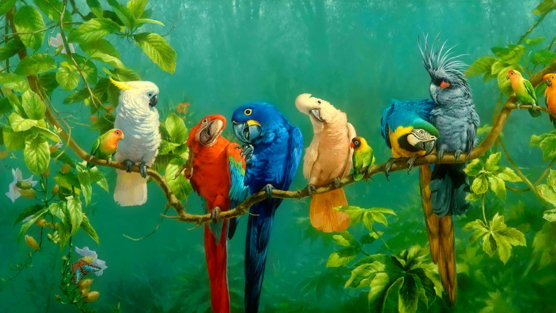1920x1080 Colorful Parrot Birds On The Tree Oil Painting Wallpaper - Oil Painting Hd