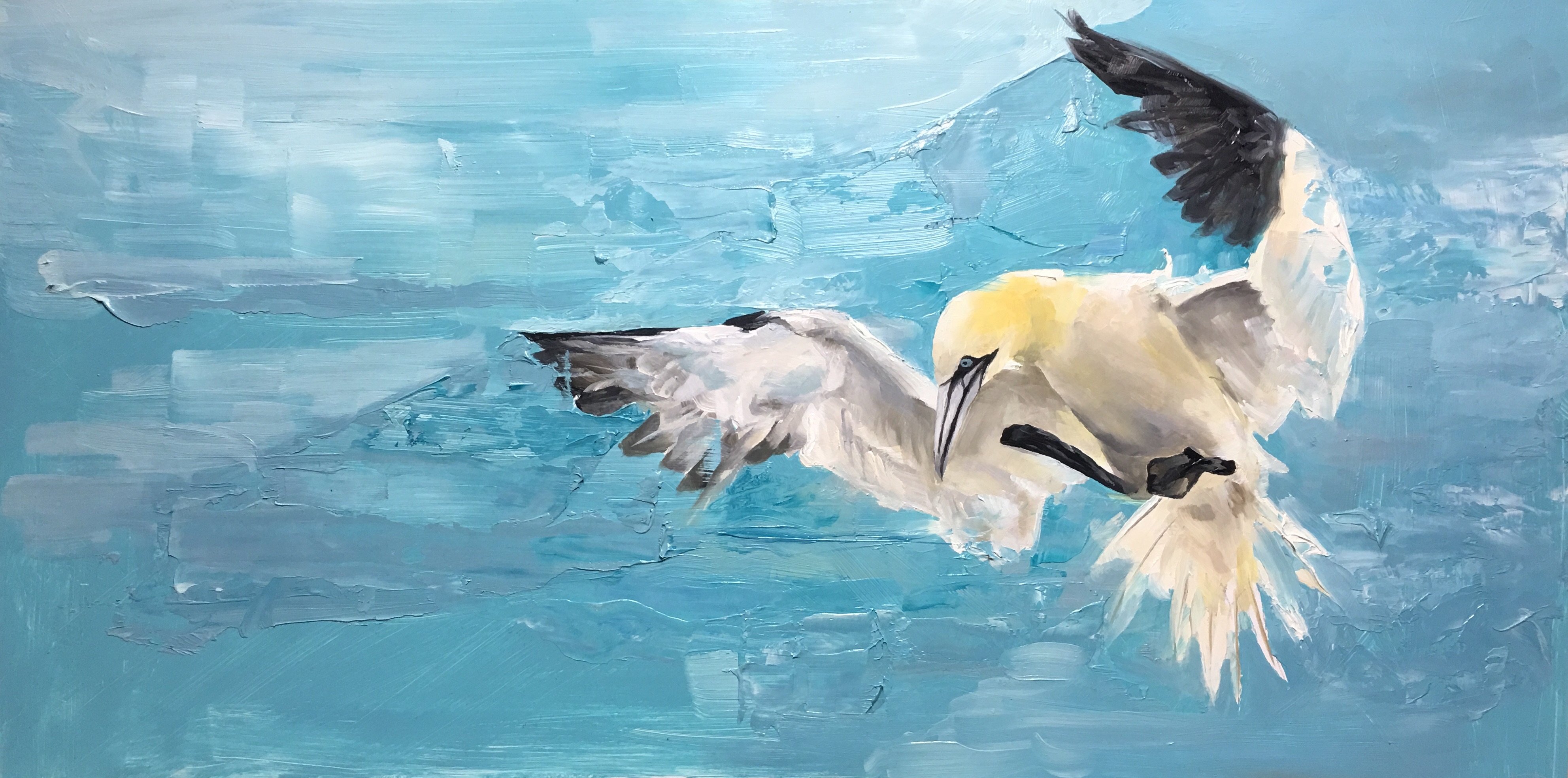 3967x1967 Gannet In Flight , Original Oil Painting - Oil Painting Images