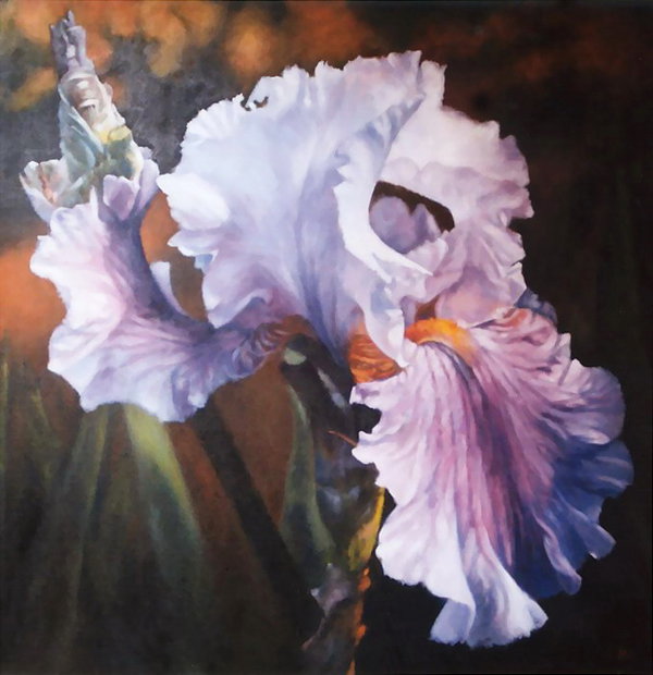 600x620 Iris 40x40 Inch Oil Painting By Astridbruning - Oil Painting Iris