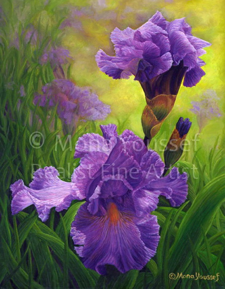 449x576 Purle Iris Oil Painting - Oil Painting Iris