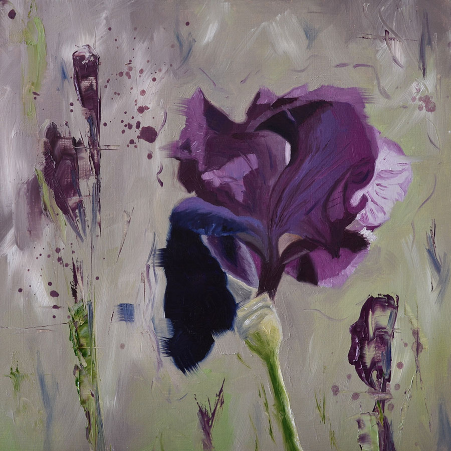 900x900 Shop - Oil Painting Iris