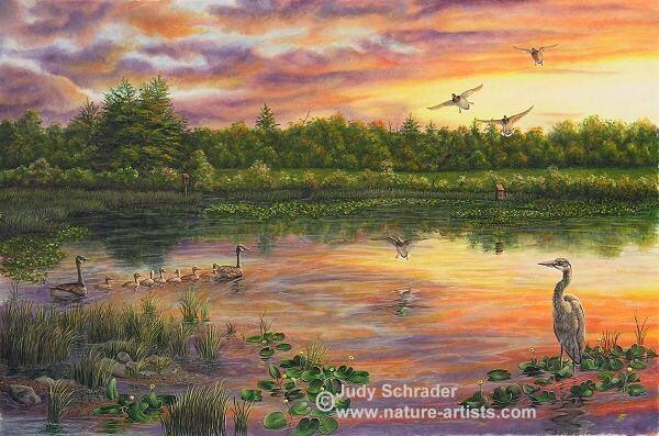 600x397 Nature Artists - Oil Painting Nature Scenes