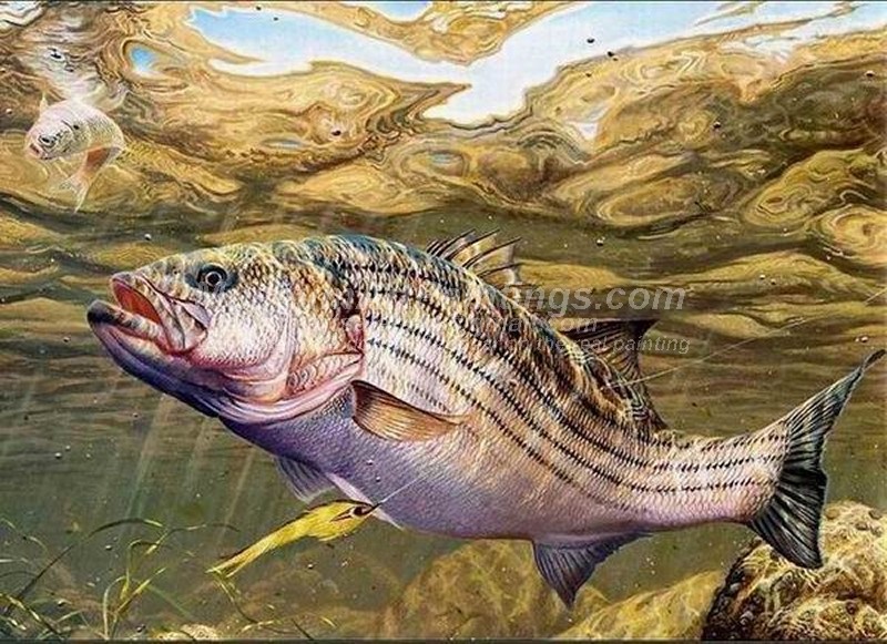 800x581 Fish Oil Paintings 014 - Oil Painting Of Fish