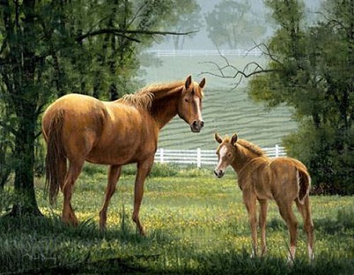 500x388 Paintings Of Horses Mark Downey, Artist Of Traditional Realism - Oil Painting Of Horses Original