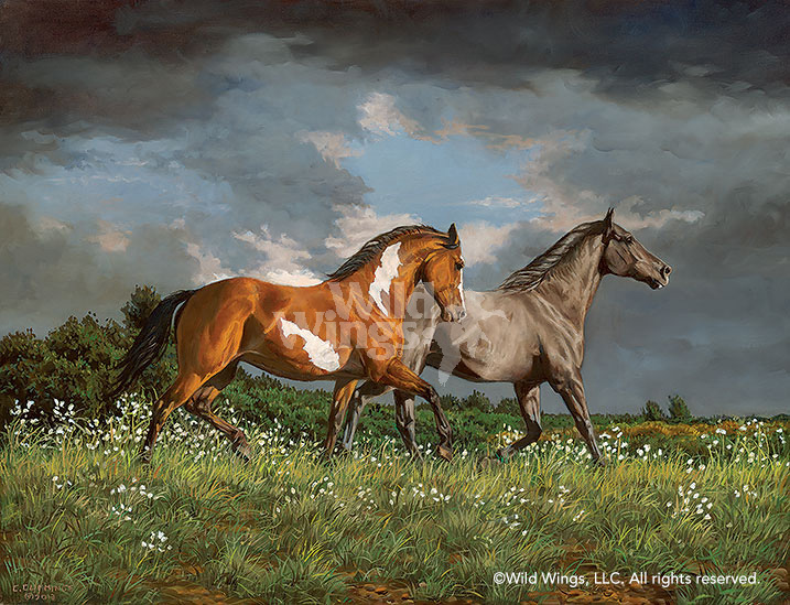 717x549 Across Heaven Horses Original Oil Painting Wild Wings - Oil Painting Of Horses Original