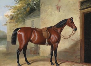 320x234 Original Oil Painting Horse Art Top Hand Painted Art 36 Inch Art - Oil Painting Of Horses Original