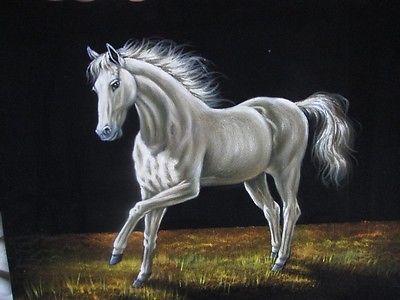 400x300 White Stallion Mexican Oil Painting Art Black Velvet J120 Horse - Oil Painting On Black Velvet