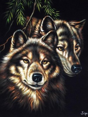 300x400 Wolf Black Velvet Oil Painting - Oil Painting On Black Velvet
