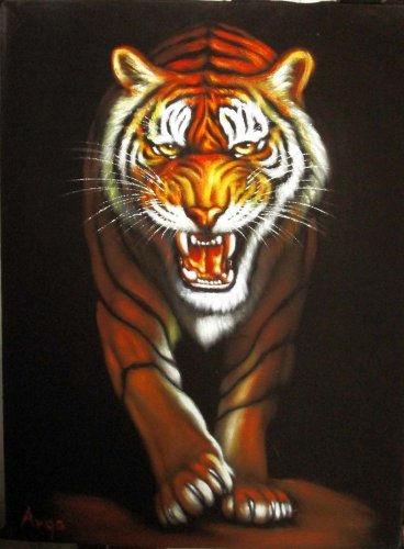 368x500 Asian Orange Tiger Exotic Ferocious Lion Oil Painting Art Black - Oil Painting On Black Velvet