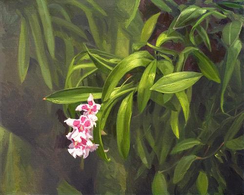 500x400 Beautiful Orchid Oil Paintings - Oil Painting Philippines