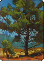157x215 Oil Paintings By Artist Dorothy Hoeschen - Oil Painting Pine Trees