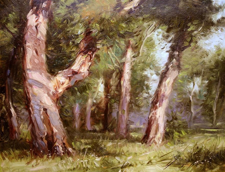 900x688 Oil Painting Old Pine Trees Ugallery Online Art Gallery Art - Oil Painting Pine Trees
