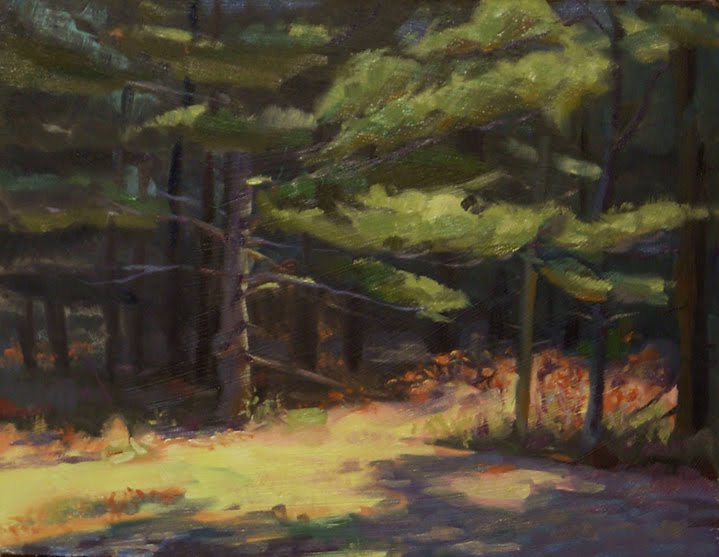 719x557 Christopher Greco Sun In The Forest - Oil Painting Pine Trees