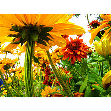 360x360 China Waterproof Art Print Canvas Prints Oil Painting - Oil Painting Prints