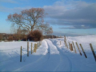 400x300 Landscape And Figurative Art Painting Blog How To Oil Paint - Oil Painting Snow Scenes