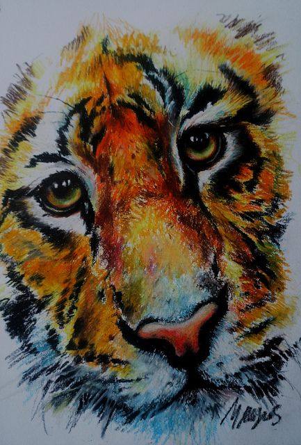 433x640 Tiger - Oil Pastel Painting