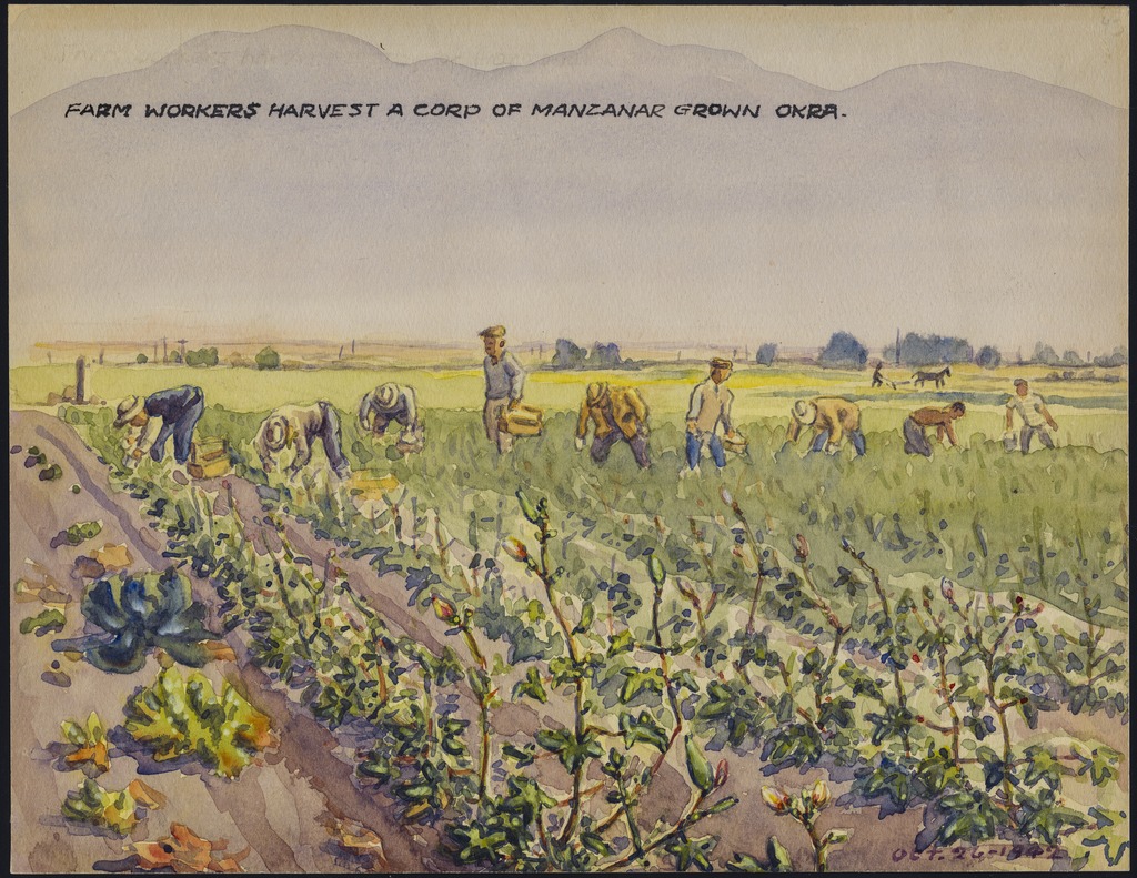 1024x791 Ddr Manz 2 69 Painting Of Farmers Harvesting Okra Densho - Okra Painting