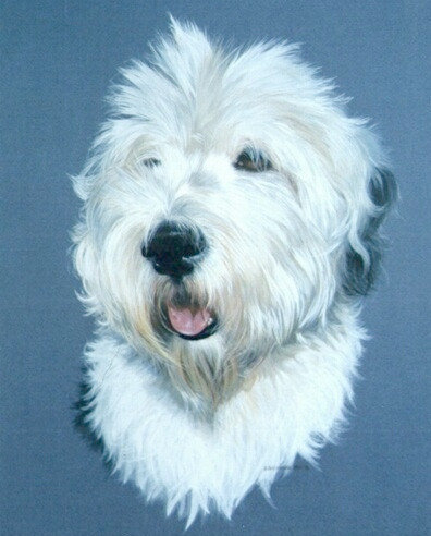 396x492 Helen Backhouse's Working Dog Paintings Amp Paintings Old English - Old English Sheepdog Painting