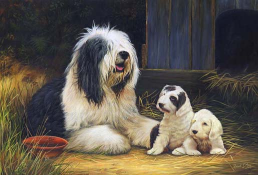515x350 Limited Edition Old English Sheepdog Print Rmle17 - Old English Sheepdog Painting